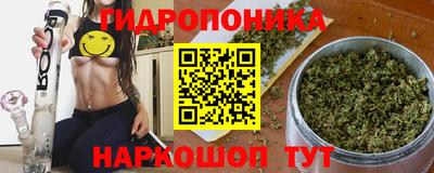 сатива Коммунар