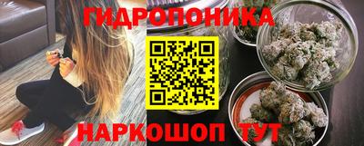 сатива Коммунар
