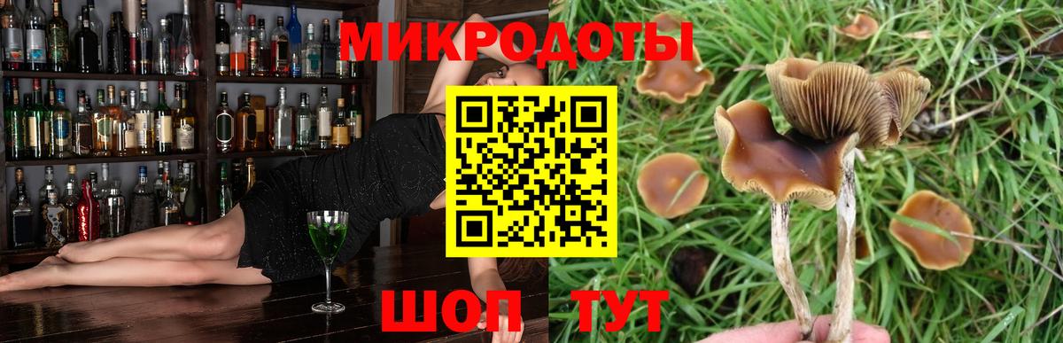Галлюциногенные грибы мицелий  наркотики  Черкесск  Вход с VPN  Галлюциногенные грибы Cubensis 